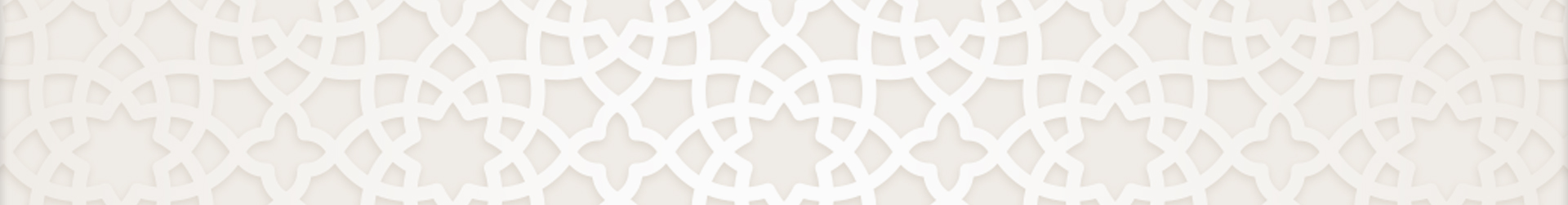 المجلس التنفيذي المجلس التنفيذي